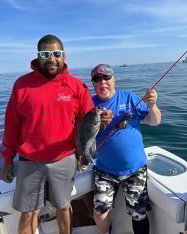 Bottom Fishing Trips