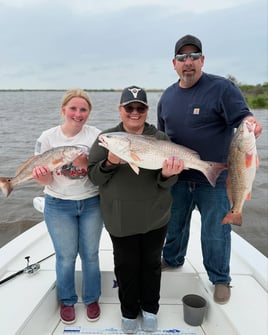 Full Day Trip Morning