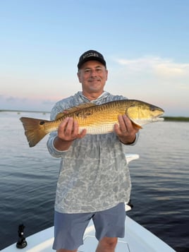 Full Day Trip Morning