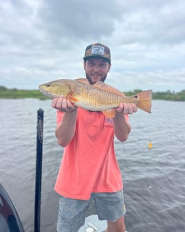 Full Day Trip Morning