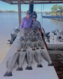 Full Day Trip Morning