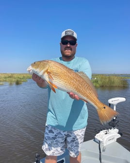 Full Day Trip Morning