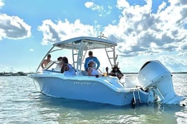 Jacksonville Private Tour