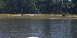 6 Hr – Fernandina/Cumberland Trip