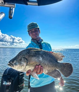 4 Hour Trip – Inshore Fishing