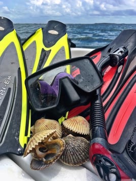 Scalloping excursion