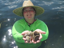 Scalloping excursion