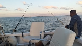 Early Offshore + Island Stop