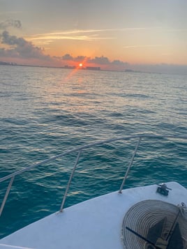 Early Offshore + Island Stop