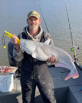 Bluecat, Crappie, and Walleye Trips