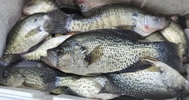 Broken Bow Lake Fishing Trip