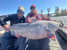 Guided Trophy Catfishing Trips