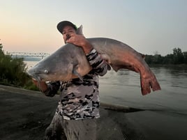 Guided Trophy Catfishing Trips