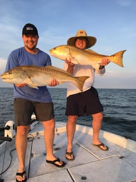 6 hr Inshore Trip