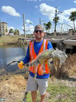 Iguana Hunting / Peacock Bass Combo