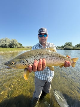 Montana Fly Fishing