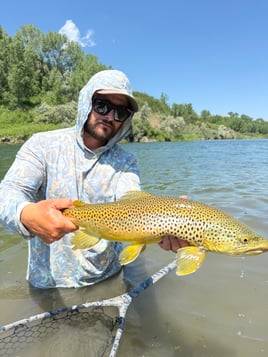 Montana Fly Fishing
