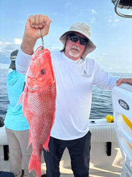 6-8HR Red Snapper