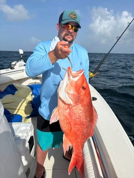 6-8HR Red Snapper