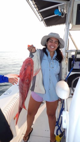6-8HR Red Snapper