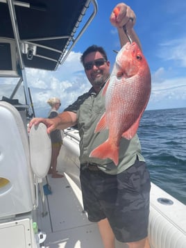 6-8HR Red Snapper