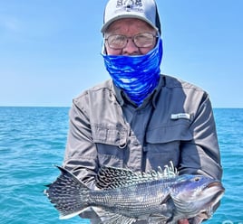 Back Bay & Near Shore Fishing