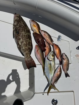 8 Hours of Fishing Excitement 