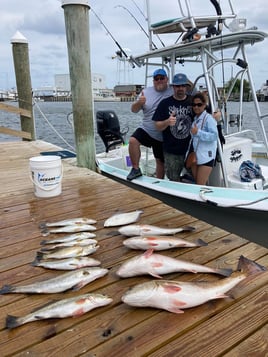 4 Hours Fishing Trip