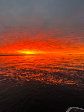 Sunset Trip