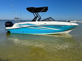Sandbar Trips