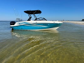 Sandbar Trips