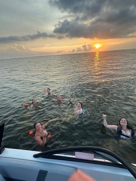 Sandbar Trips