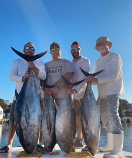 Offshore Canyon Tuna