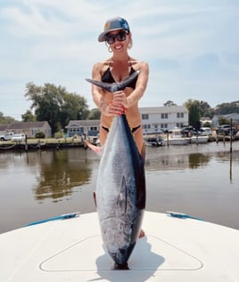 Midshore Tuna (65Mi)