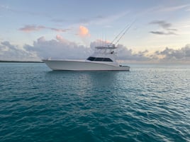 8 Hour Trip – Fall Bluefin Tuna