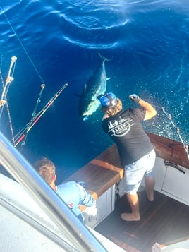 NJ Fall Bluefin Tuna Fishing