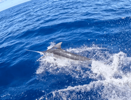 NJ Offshore Day Trip (14-15 hours)