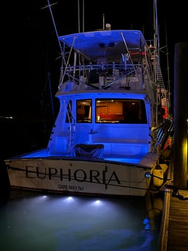 NJ Offshore Big Game Fishing Trips