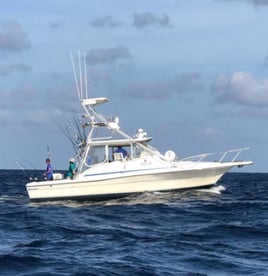 8 Hour Offshore Fishing Trip