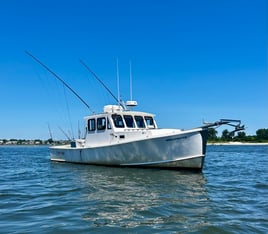 8 HR Summer Flounder 