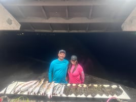 Evening Fish & Flounder Gig Wade