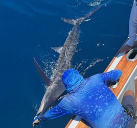 Galapagos Marlin Fishing Experience