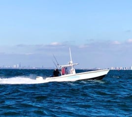 5-6 Hour Trip – Striped Bass