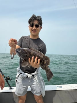8 hour blackfish (tautog)