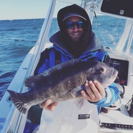 8 hour blackfish (tautog)