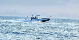 8 hour blackfish (tautog)