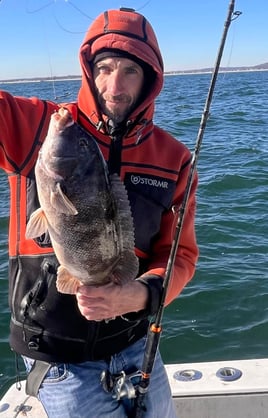 8 hour blackfish (tautog)
