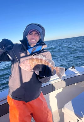 8 hour blackfish (tautog)