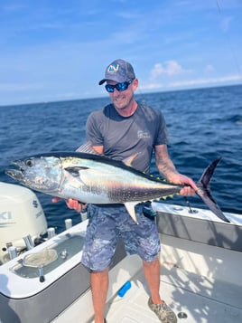Tuna (BFT & YFT) 