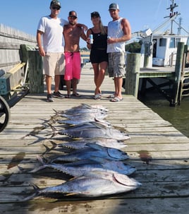 Tuna (BFT & YFT) 
